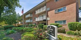 Glenmont Forest Gallery 1