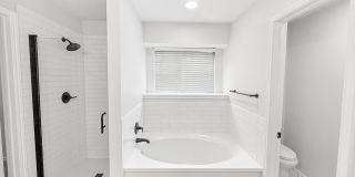 15015 Northern Dancer Gallery 15