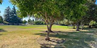 2071 Seacliff Gallery 19