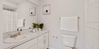 The Avenue Gallery 11