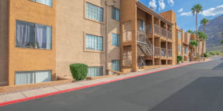 Catalina Crossing Gallery 13