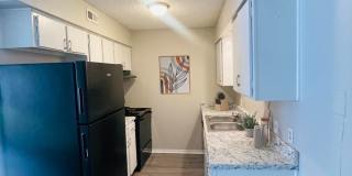 Timberline Gallery 46
