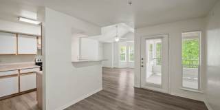 Forest View Gallery 7