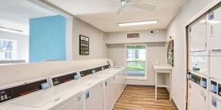 The Palm on SPID Gallery 25