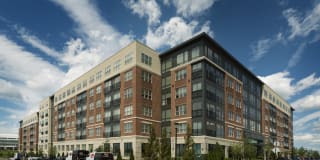 Omnia at Town Center Gallery 19