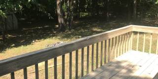 Adorable 3 Bedroom home Convenient to Downtown Durham Gallery 4