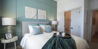 Solis Gainesville Gallery 17