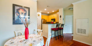 Elegant 2BD Condo with Unbeatable Access & Premium Features in Arlington w/ Parking! Elegant 2BD Condo with Unbeatable Access & Premium Features in Arlington w/ Parking! Gallery 14