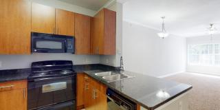 Polo Park Gallery 28