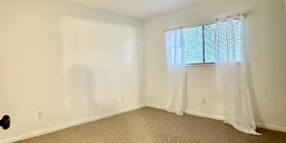 4451 Holly Tree Road Gallery 11