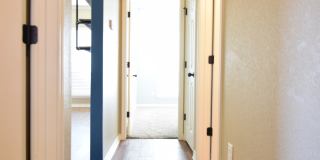 7316 Amber Meadow Loop Gallery 13