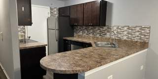 1545 W Crystal Rock Court Gallery 4