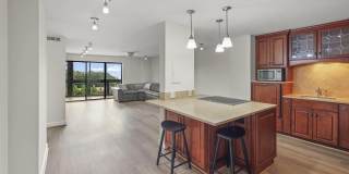 8340 GREENSBORO Drive unit: 302 Gallery 1