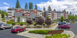 River View Collection Gallery 2