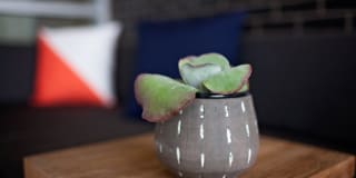Hygge Gallery 42