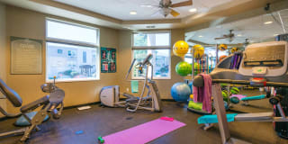 Rose Vista Gallery 15