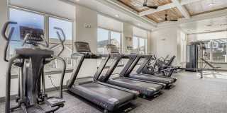 The Gallery Gallery 9