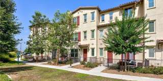 3169 Marigold Gallery 1