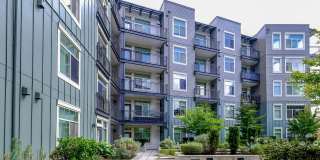 Elan Redmond Gallery 22