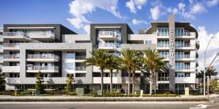 Elements Gallery 107