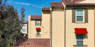 Paseos At Magnolia Luxury Apartment Homes Gallery 67