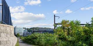 Madison West Elm Gallery 78