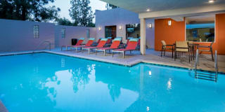 Ava Studio City Gallery 24