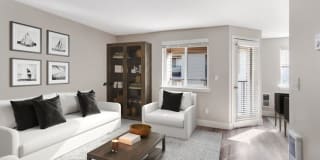 Avana Evergreen Gallery 11