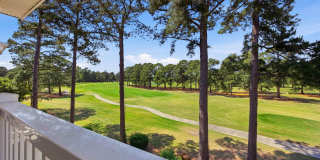 4647 Wild Iris Dr. Gallery 23