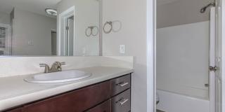 The Lake Gallery 100