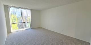 Hillside Terrace Gallery 117