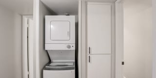 Rise on Cactus Gallery 36