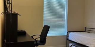 3123 SUN LAKE COURT Gallery 19