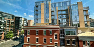 The Harper Gallery 193