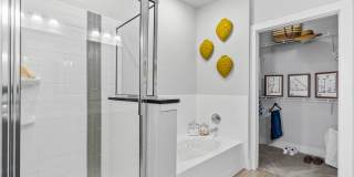 Axis at Watters Creek Gallery 70