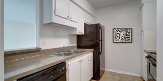 Royal Breeze Gallery 46