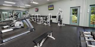 Seven Pines Gallery 14