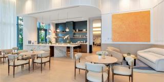 Ritz-Carlton Residences Tampa Gallery 100