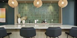 Edera Gallery 18