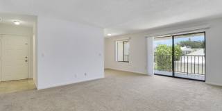 150 Pineview Road Gallery 14