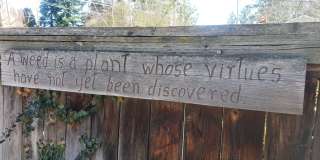 Available June 10th 3-bedroom, 2 bath home on a corner lot near Hamblen Elementary School Gallery 6