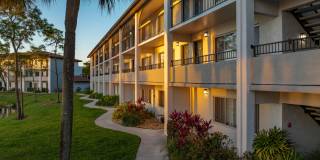 Cameron Cove Gallery 14