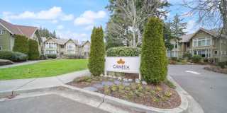 Island Living at Camelia! Island Living at Camelia! Gallery 1