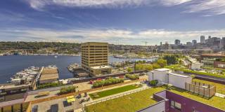 Westlake Steps Gallery 12