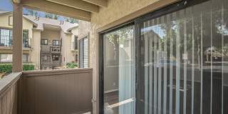 Mountain Springs Gallery 52