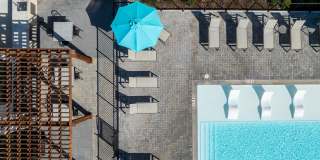 Virginia I Gallery 3