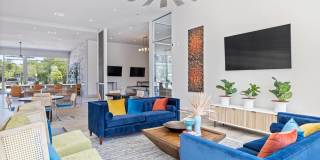 Brio at Lookout Brio at Lookout Gallery 3