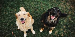 Mira Vista Hills - Affordable Housing Gallery 16