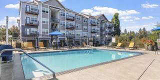 Element 170 Gallery 5