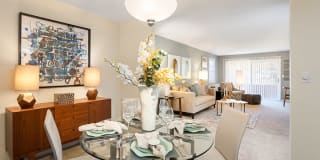 Waterfall Hills at Canton Gallery 17